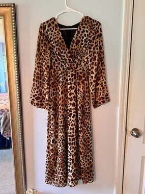 Zara Leopard Print Midi Dress XS Long Sleeve Plunge Neck Mob Wife Glam Dress